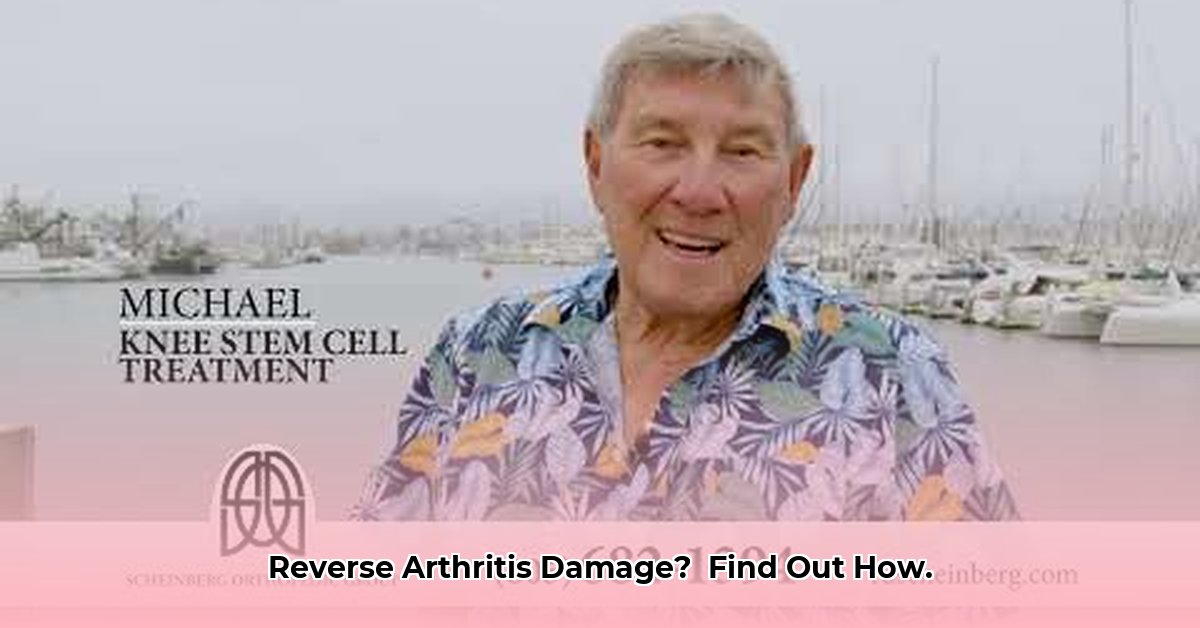 scheinberg-santa-barbara